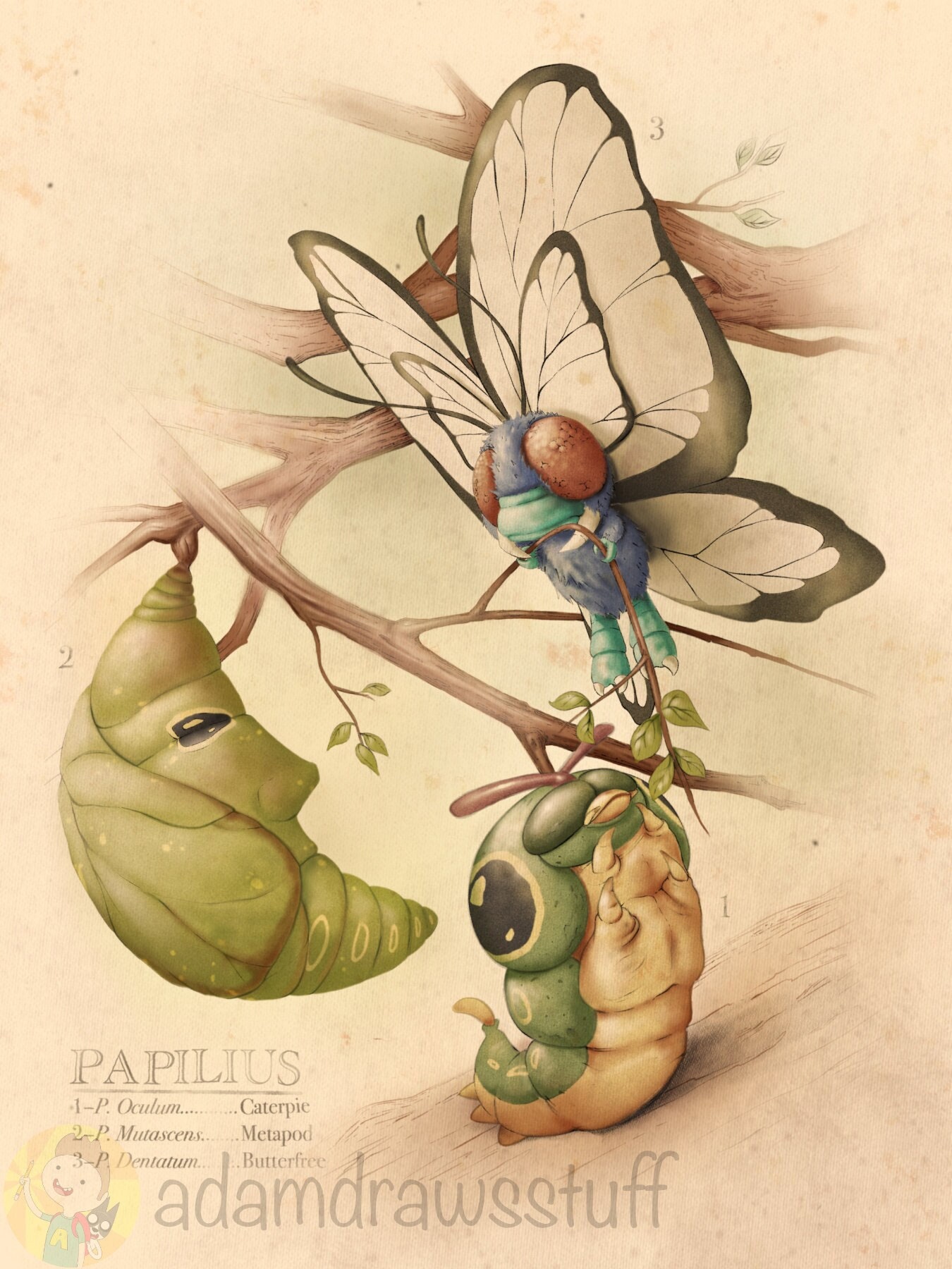 Buy Caterpie Metapod & Butterfree Study Pokemon Field Guide Online in India  - Etsy