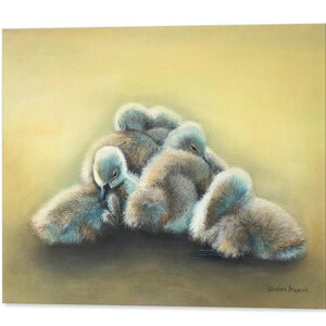 Tiempo de acurrucamiento