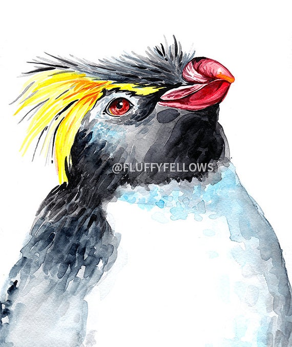 Download Bird Arctic Painting Wildlife Art Wildlife Watercolor Animal Art Bird Artwork Original Watercolor Painting Bird Art Bird Watercolor Painting Art Collectibles Safarni Org