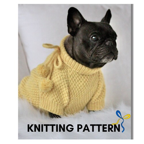 do bulldogs need sweaters