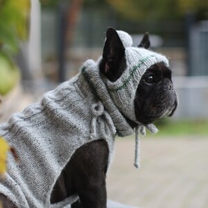 Pug jumper store knitting pattern