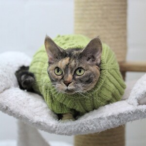Cat sweater etsy new arrivals