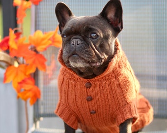 French bulldog wool orange sweater, French bulldog winter coat, Dog winter coat, Pet sweater orange, Cat sweater orange