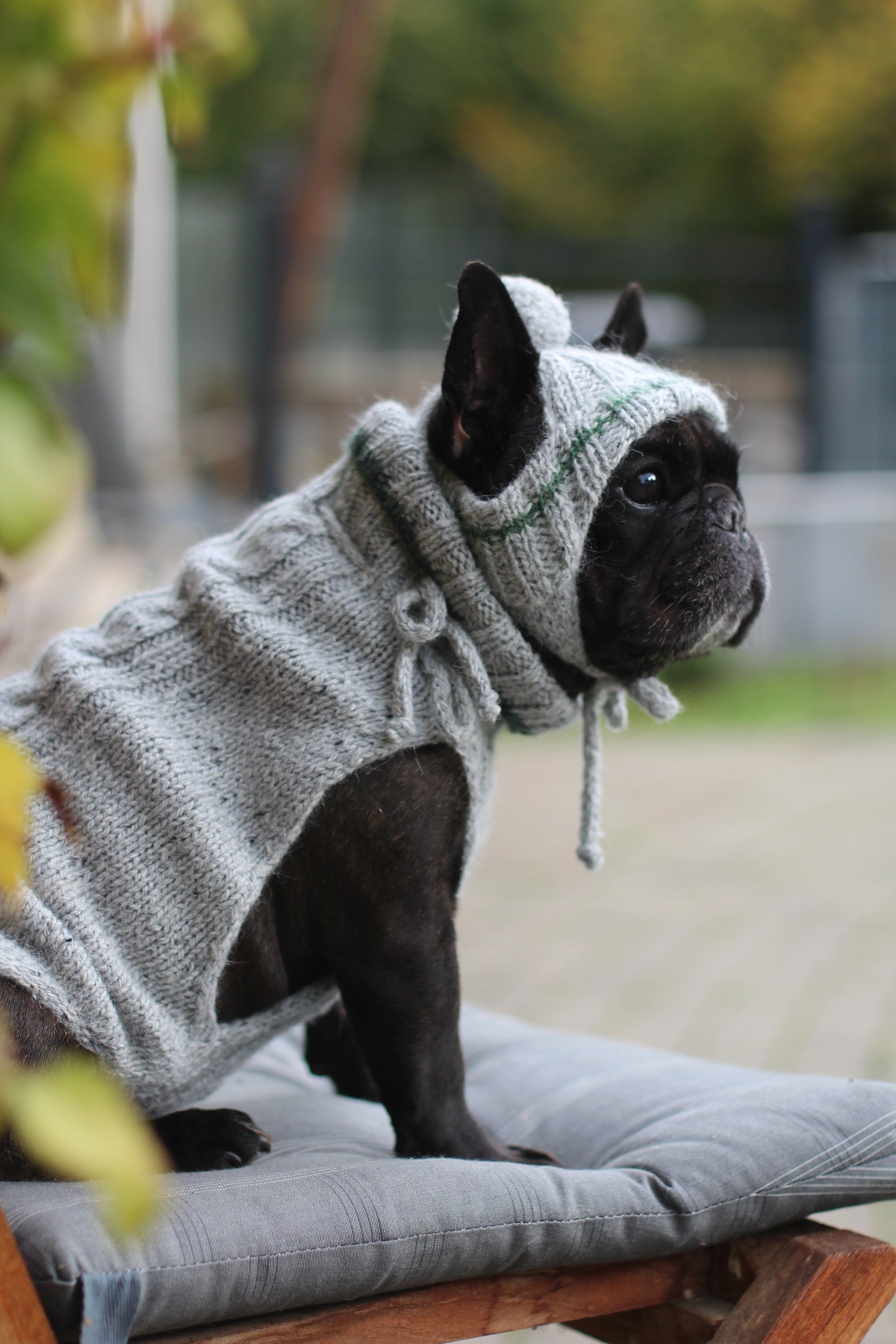 Formuleren Slechthorend lawaai Franse bulldog wol trui en hoed Franse bulldog grijze tweed - Etsy België