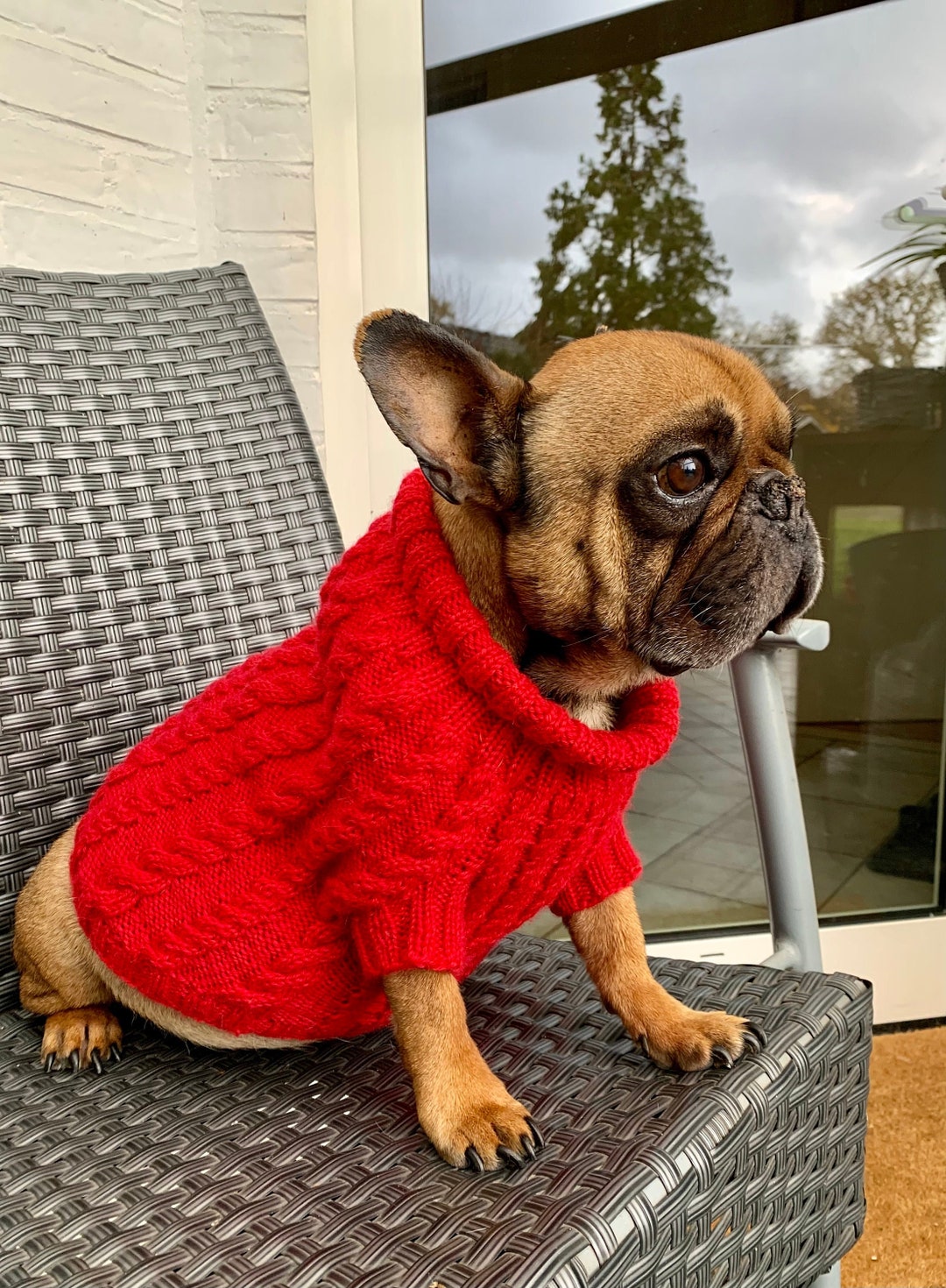 French Bulldog Wool Red Sweater, French Bulldog Winter Coat, Dog Winter