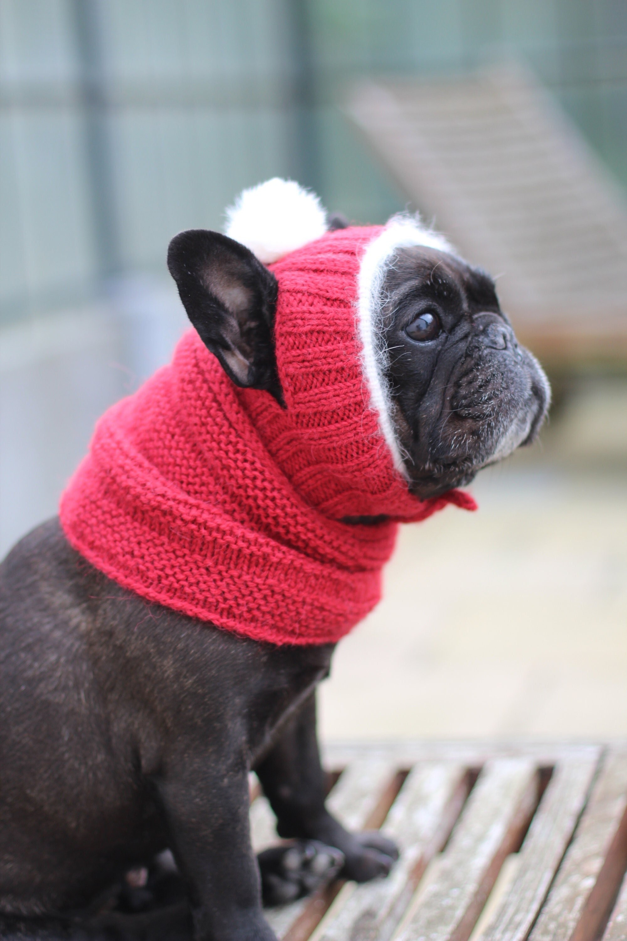 Etsy dog cheap hats