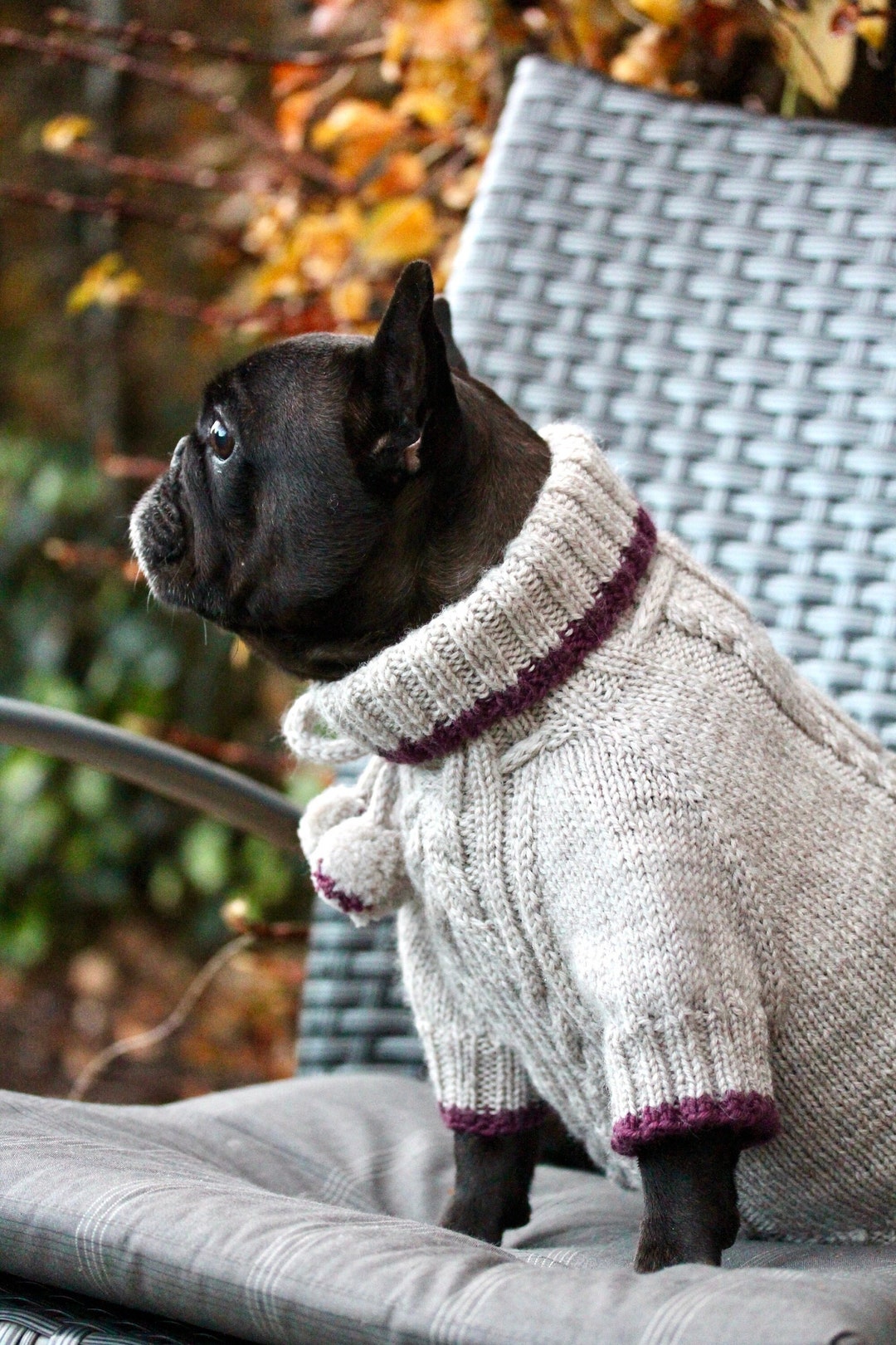 French Bulldog Wool Sweater French Bulldog Winter Coat Dog Etsy Canada
