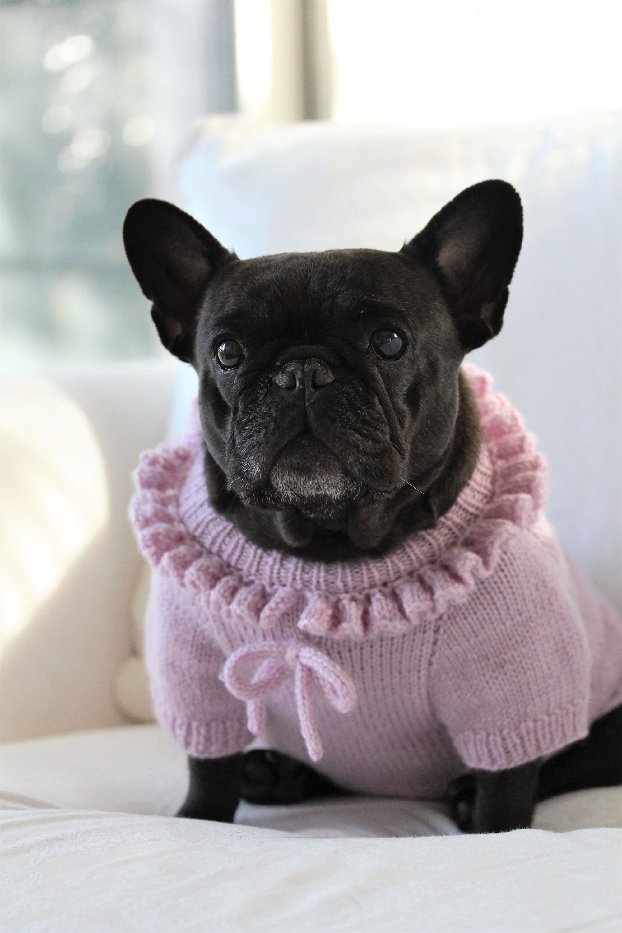 Knitting Pattern PDF French Bulldog 