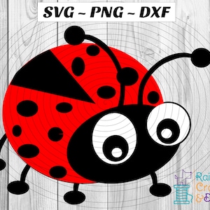 Coccinella, Coccinella, Coccinella dell'amore SVG PNG DFX Download digitale