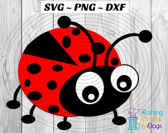 Ladybug, Ladybird, Love Bug SVG PNG DFX Digital Download