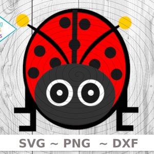 Lieveheersbeestje SVG: Love Bug-clipart, Cricut-silhouet (digitale download)