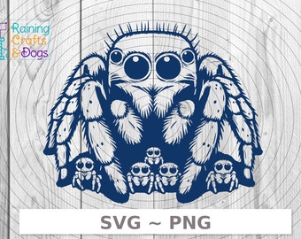 Mamá araña saltando con bebés SVG PNG Descarga digital