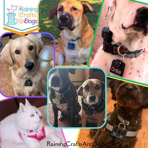 May include: A collage of seven dogs wearing collars or harnesses with personalized square tags. The tags feature names including Stan, Odie, Ruthie, and Blue. The logo for Raining Crafts & Dogs is visible in the top left corner with the website address at the bottom.