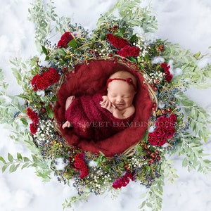 Christmas Digital Backdrop - Beautiful Flower Nest with red flowers
