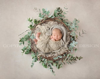 Newborn Digital Backdrop for boys - natural nest perfect for a little bunny or bear!