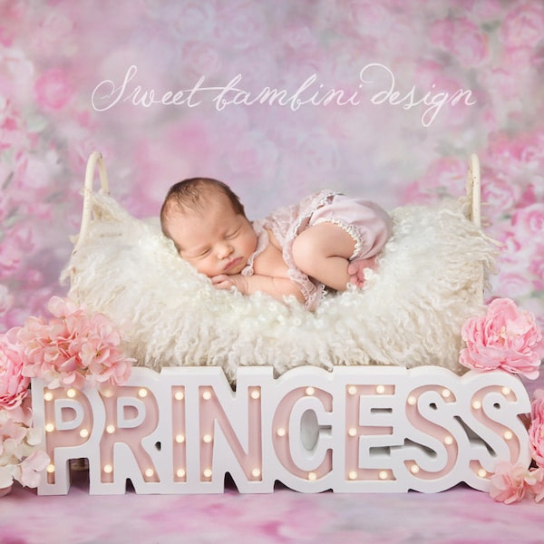 Newborn Photography Digital Backdrop Princess Bed Instant Download