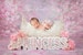 Newborn Photography Digital Backdrop Princess Bed Instant Download 