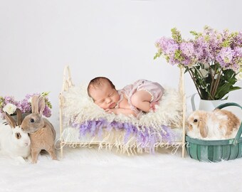 Easter Newborn Digital Background with real bunnies - Instant download