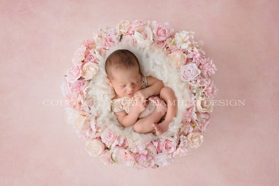 Fondo Digital Recien Nacido Nido Floral Rosa Y Blanco Rodado Etsy Mexico Fondo Digital Recien Nacido Nido Floral Rosa Y Blanco Rodado Etsy Mexico