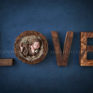 Newborn Digital Backdrop for girls or boys - Rustic Love on navy background