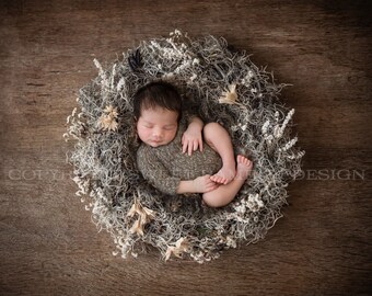 Newborn Digital for boy or girl - Natural Organic Nest, Instant Download, Ready for you to Edit