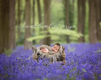 Telón de fondo digital para recién nacidos - Cama natural y rústica en madera de campanilla