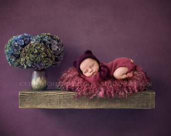 Newborn Digital Backdrop - Rustic wooden shelf with fresh hydrangeas and a deep pink nest