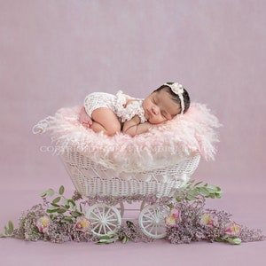 Newborn Digital Backdrop for girls - Little white pram, shot on a mauve background, surrounded by fresh foliage