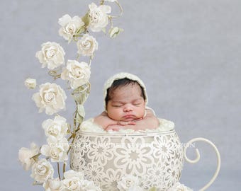 Newborn digital background - Vintage white rose teacup Instant download - Adelaide