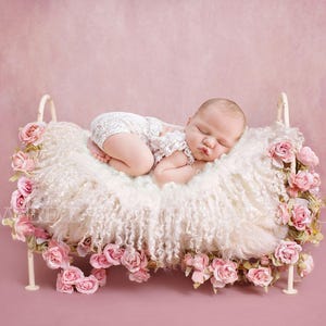 Newborn Photography Digital Backdrop Vintage Rose Bed Instant Download image 1