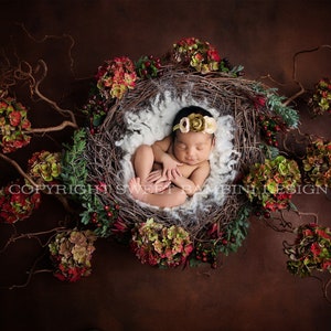Christmas Newborn Digital Backdrop - Nido naturale con ortensie e bacche fresche