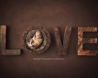 Newborn Digital Backdrop for boys or girls - Rustic Love