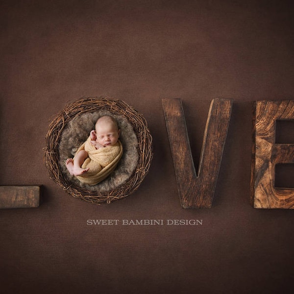 Newborn Digital Backdrop for boys or girls - Rustic Love