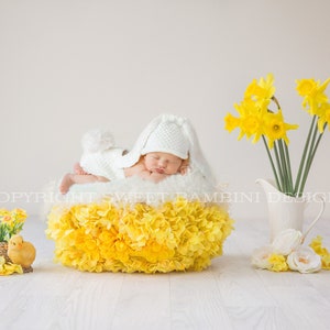 Newborn Digital Backdrop - Easter Nest 2