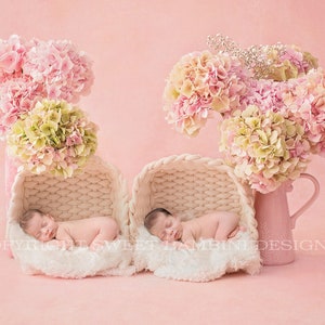 Twin Newborn Digital Backdrop - Fresh hydrangeas on pink