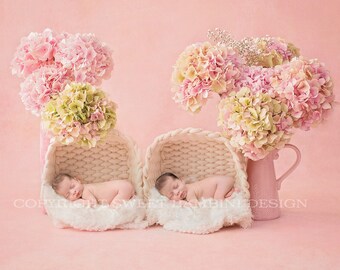 Twin Newborn Digital Backdrop - Fresh hydrangeas on pink