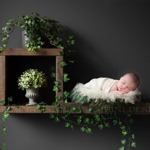 Newborn Digital Backdrop - Rustic wooden shelves with ivy, shelf digital