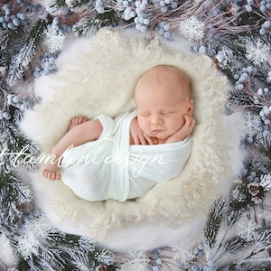 Christmas Digital Backdrop for Newborn Photography - Frosted Nest