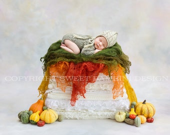 Newborn Photography Digital Backdrop for boys or girls - Autumn themed, rich fall colours with harvest vegetables