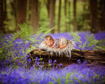 Bluebell Woods Digital Background - Enchanted Bluebell forest, for newborns or sitters, set up in a real forest, digital backdrop