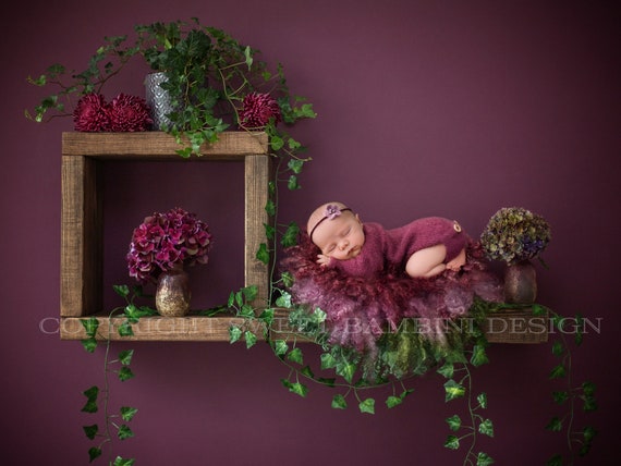 Newborn Digital Backdrop - Rustikale Holzregale mit frischen Hortensien und  Efeu, Regal digital - Etsy.de
