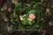 Newborn Digital Backdrop - Woodland Wall - Marley 