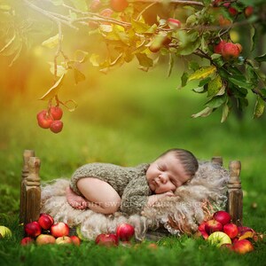Pode incluir: Um recém-nascido dormindo em uma cama de madeira rústica com um cobertor branco felpudo. A cama é cercada por maçãs vermelhas e grama verde. O bebê está vestindo um macacão de tricô verde.