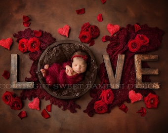 8x12 FT Pug Vinyl Photography Backdrop,Live Love Bark Quote with a Puppy in Cup Happiness Funny Valentines Image Background for Photo Backdrop Baby Newborn Photo Studio Props 8x12 FT Pug Vinyl Photography Backdrop,Live Love Bark Quote with a Puppy in Cup Happiness Funny Valentines Image Background for Photo Backdrop Baby Newborn Photo Studio Props