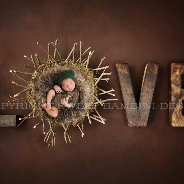 Newborn Photography Digital Backdrop for boys or girls - LOVE with a simple natural nest twiggy on a rich brown background