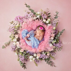 Newborn Digital Backdrop - instant download - Lila flower nest