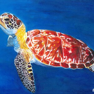 ★Original ART ‘Turtle’ freedomweb_900x.jpg?v=1735648377