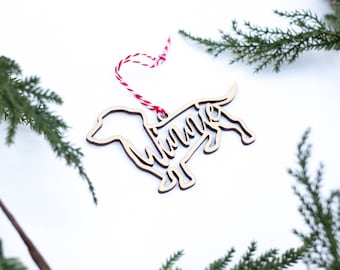 Dog Ornament, Dachshund Ornament, Custom Pet Ornament, Pet Stocking, Personalized Ornament