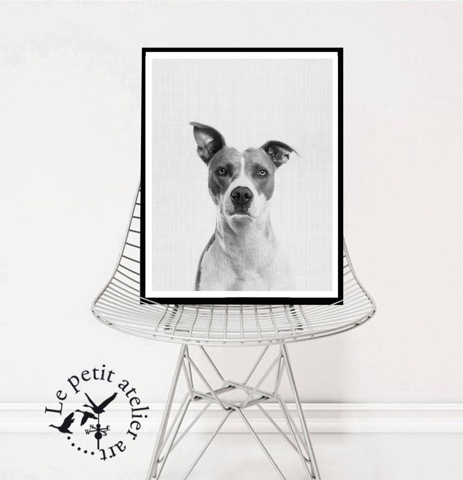 Dog Wall Art Print Dog Photo Printable Poster Digital | Etsy