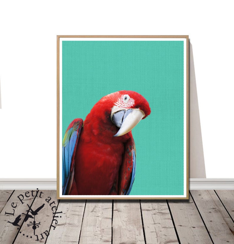Tropical Bird Print Parrot Wall Art Bird Photography Macaw Etsy